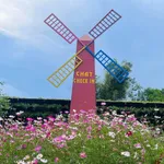 Bán đất 392.6m² mặt tiền 20.4m Hoàng Hoa Thám Quận 12 - 2.5 tỷ - Ảnh thu nhỏ 4