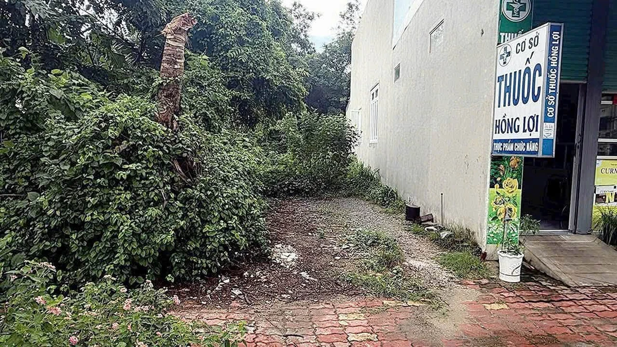 Bán đất mặt tiền Mạc Đỉnh Chi 143.7m² Bình Dương - Ảnh thu nhỏ 2