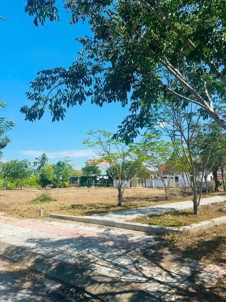 Bán cặp lô góc 206m² mặt tiền công viên Tư Nghĩa, Quảng Ngãi - Ảnh thu nhỏ 2