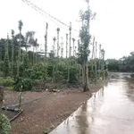 Bán đất Cẩm Mỹ Đồng Nai 5500m2 full hồng 12 tỷ - Ảnh thu nhỏ 2