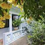 Bán nhà cấp 4 120m² hẻm Lò Gốm, Quận 6, giá 9,8 tỷ - Ảnh thu nhỏ 3