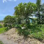 Bán nhà vườn 2 phòng 4.700m² hồ bơi Khánh Phú Nha Trang - Ảnh thu nhỏ 5