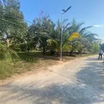Bán lô đất 1.117m² Phú Quốc, gần suối, giáp biển - Ảnh thu nhỏ 4