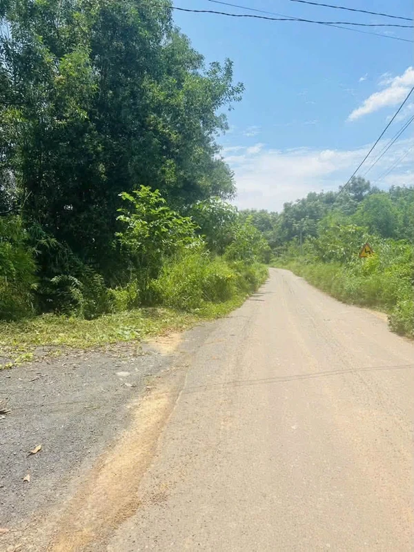 Bán đất 11.900m2 Tân An Vĩnh Cửu Đồng Nai 8,5 tỷ