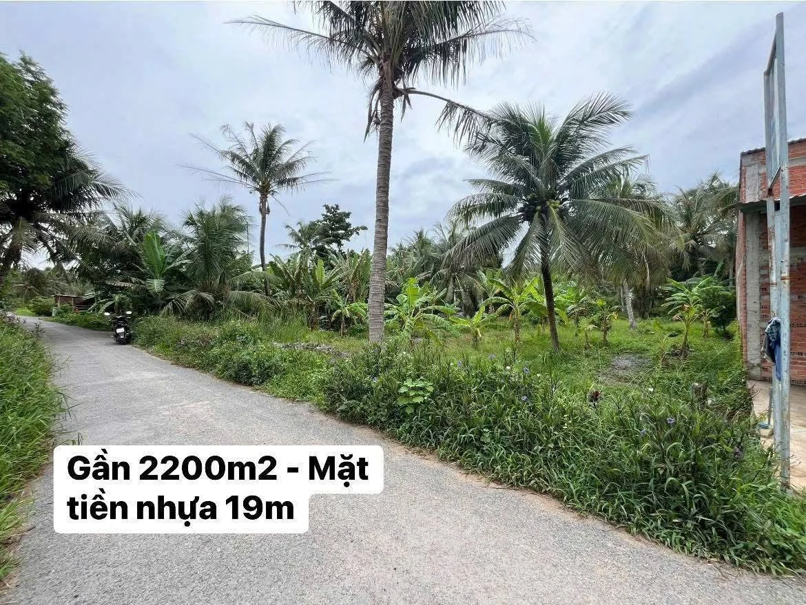 Bán đất mặt tiền Trần Văn Ấn 2200m2 Trà Vinh - Ảnh thu nhỏ 5