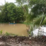 Chính chủ bán 11 công đất trồng lúa Hòa Mỹ, Hậu Giang - Ảnh thu nhỏ 4
