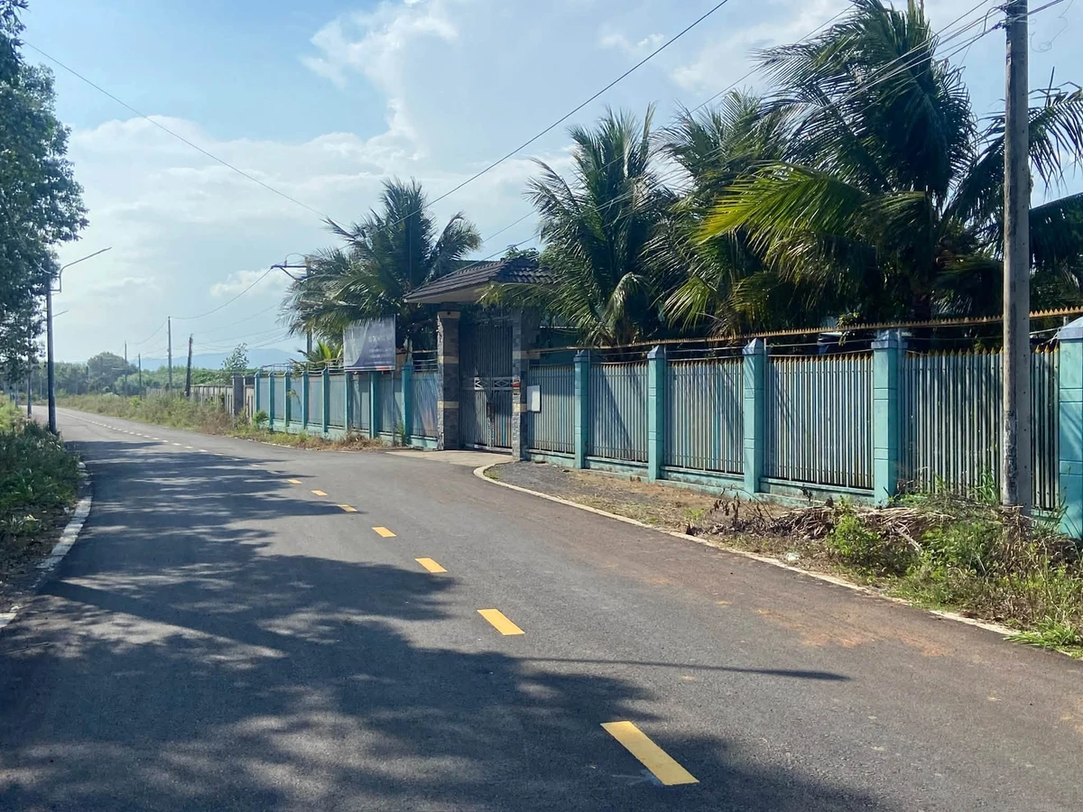 Bán đất 3131m2 mặt tiền Lê Văn Một, Nhà Bè, 1,45 tỷ - Ảnh thu nhỏ 2