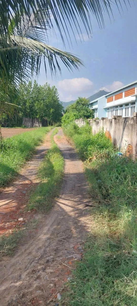 Bán đất 500m² xã Hồng Sơn, Lâm Đồng - Ảnh 1