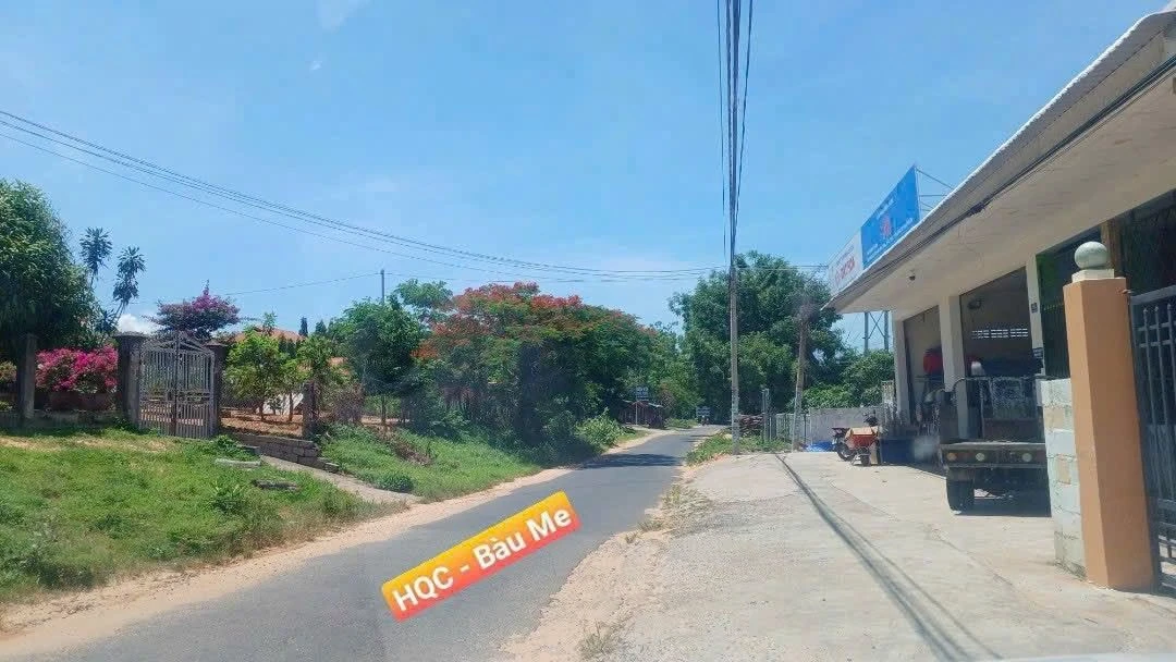 Bán đất 1100m² mặt tiền Bàu Me Khánh Hòa 10 tỷ - Ảnh 1