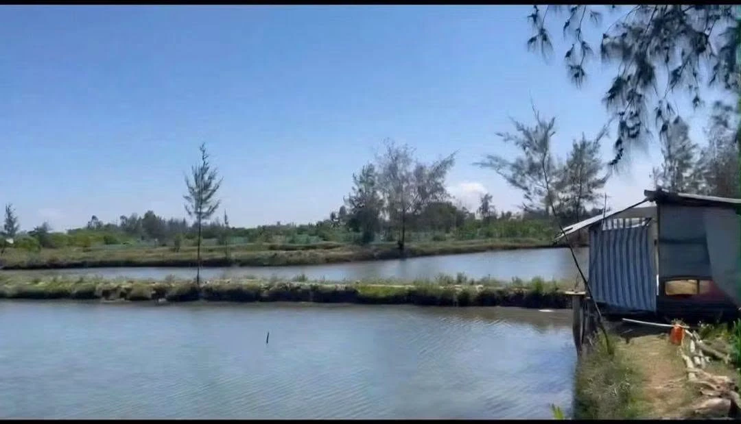 Bán 1000m2 đất nuôi trồng thủy sản kèm hồ và chòi tại Bình Châu giá 199 triệu - Ảnh thu nhỏ 2