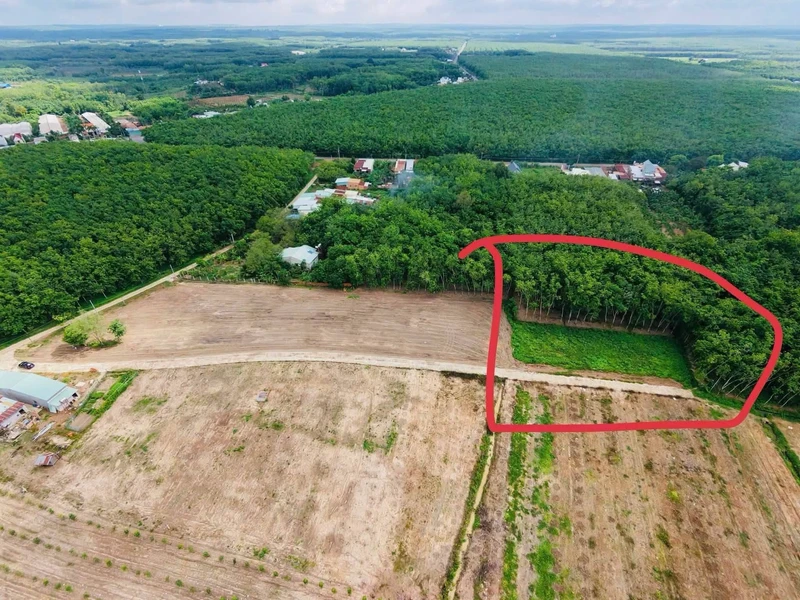 Bán đất Bình Phước 100m², 310 triệu