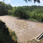 Chính chủ bán nhà máy chế biến mủ cao su Giang Sơn, 20.000m2, đang hoạt động tốt, pháp lý rõ ràng - Ảnh thu nhỏ 13