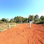 Bán đất hẻm Nguyễn Hữu Thấu nối dài 10x29.5m, 295m2, Phường Tân Lợi, Buôn Ma Thuột - Ảnh thu nhỏ 3