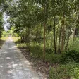 Bán lô đất 28ha (28 mẫu) - cách mặt tiền đường Tỉnh 986A đi U Minh - Cà Mau 0,5km - xã Nguyễn Phích - Ảnh thu nhỏ 10