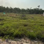 Bán đất 2500m2 tại Chánh Phú Hoà Bến Cát Bình Dương - Ảnh thu nhỏ 4