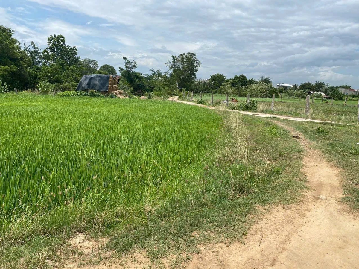 Bán đất 5,5 sào Thuận Hòa, Bình Thuận giá 550 triệu - Ảnh thu nhỏ 2