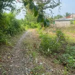 Bán đất Ngã Bảy Hậu Giang giá tốt - Ảnh thu nhỏ 3