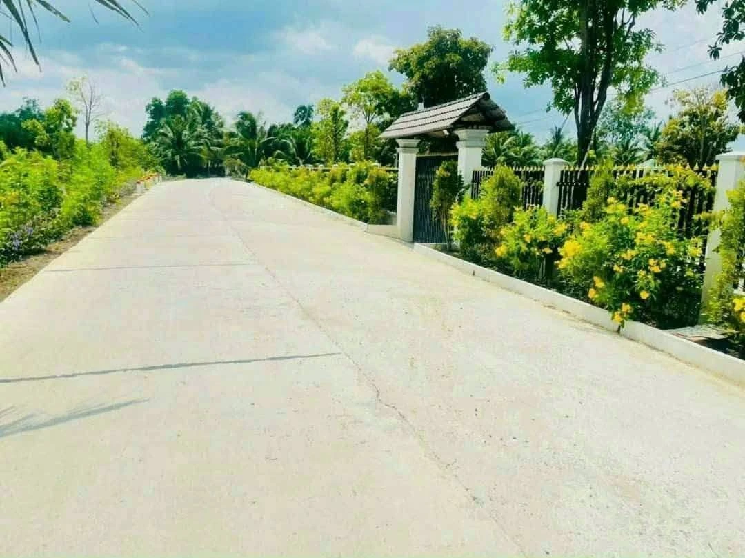 Bán đất vườn 5.400m² Bến Lức, Long An, 1,3 tỷ/1.000m² - Ảnh thu nhỏ 4