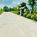 Bán đất vườn 5.400m² Bến Lức, Long An, 1,3 tỷ/1.000m² - Ảnh thu nhỏ 4