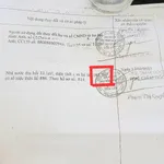 Bán đất thổ cư mặt tiền Mỹ Yên - Tân Bửu 181,7m2 tặng nhà cấp 4, Bến Lức - Ảnh thu nhỏ 5