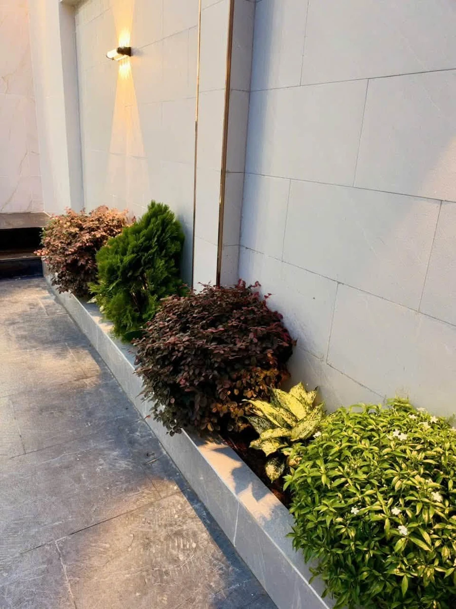Nhà bán 100m2, 3 phòng ngủ tại Long Điền - 3 tỷ 2 - Ảnh thu nhỏ 3