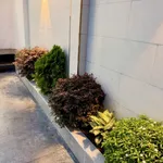 Nhà bán 100m2, 3 phòng ngủ tại Long Điền - 3 tỷ 2 - Ảnh thu nhỏ 3