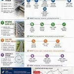 Suất ngoại giao chiết khấu 30%, nhà phố Vinhomes Hóc Môn chỉ 3,5 tỷ/ căn, liên hệ trực tiếp CĐT - Ảnh thu nhỏ 17