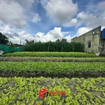 Bán nền góc 2 mặt tiền view sông 896m² Cần Giờ - Ảnh thu nhỏ 4
