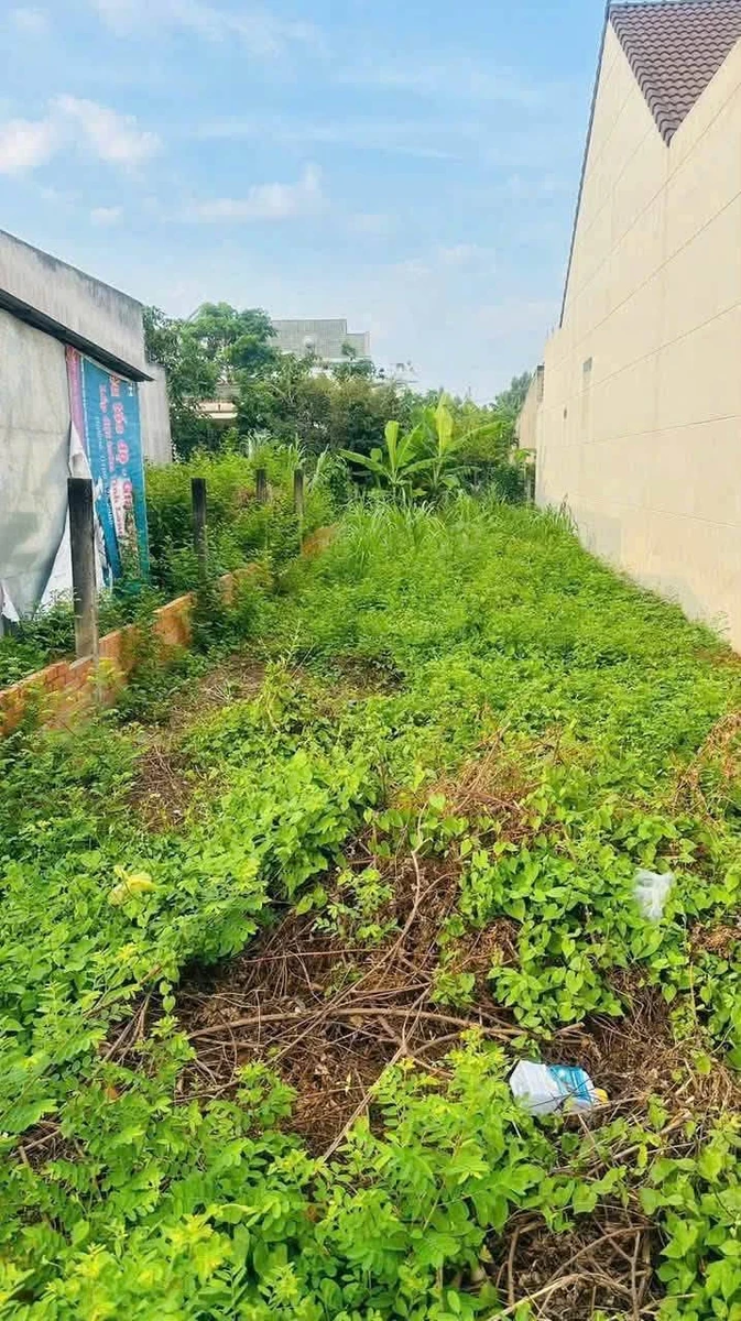 Bán lô đất hẻm 135 m² Nguyễn Cử Vân, Tân An, Long An - Ảnh thu nhỏ 3