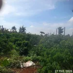 Bán lô đất cà phê 1,1ha Buôn Đôn Đắk Lắk - Ảnh thu nhỏ 1