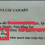 Bán đất mặt tiền QL1A Trảng Bom, 380m2 giá 4,2 tỷ - Ảnh thu nhỏ 3