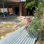 Bán đất Phường Bình Minh, Tây Ninh, 24x49.6m, 399 triệu - Ảnh thu nhỏ 4