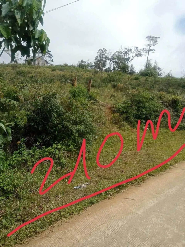 Bán lô đất nông nghiệp 5.500m² tại Măng Đen, view thung lũng