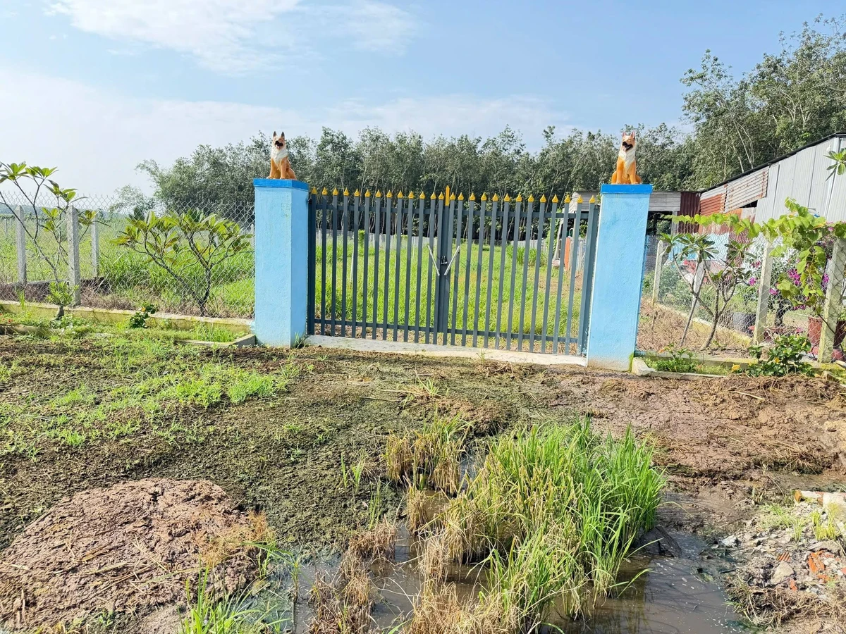Bán đất trồng cây hàng năm 10x100m xã Lộc Ninh, Dương Minh Châu, Tây Ninh - Ảnh thu nhỏ 2