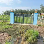Bán đất trồng cây hàng năm 10x100m xã Lộc Ninh, Dương Minh Châu, Tây Ninh - Ảnh thu nhỏ 2
