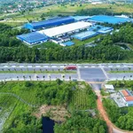 Bán lô đất nông nghiệp 1700m² mặt tiền 31m Phong Điền Huế - Ảnh thu nhỏ 4