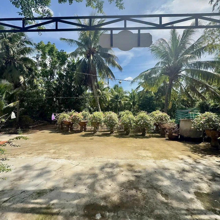 Bán nhà đất 745m² Xã Phú Hưng, Bến Tre 2,8 tỷ - Ảnh thu nhỏ 2