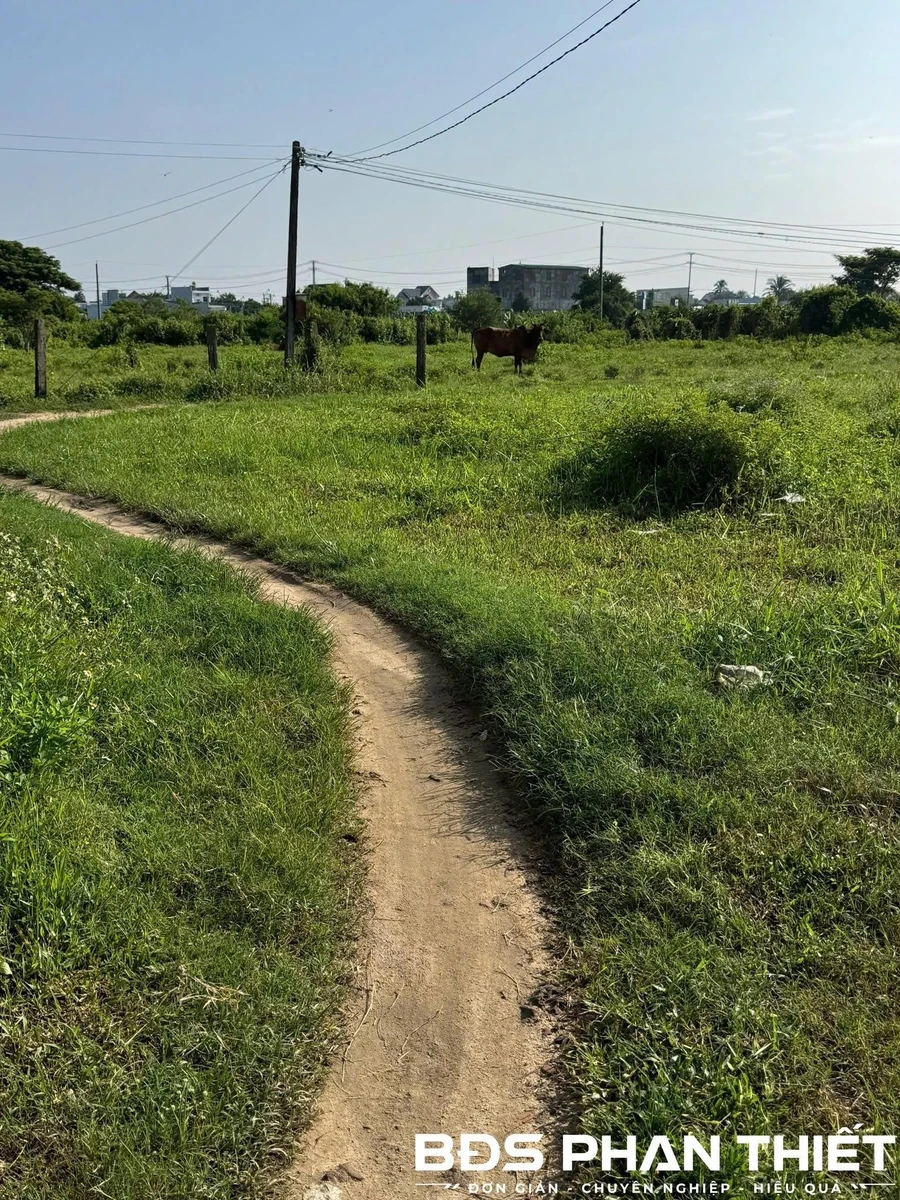 Bán đất vườn Ma Lâm 1000 m² giá 500 triệu - Ảnh thu nhỏ 3