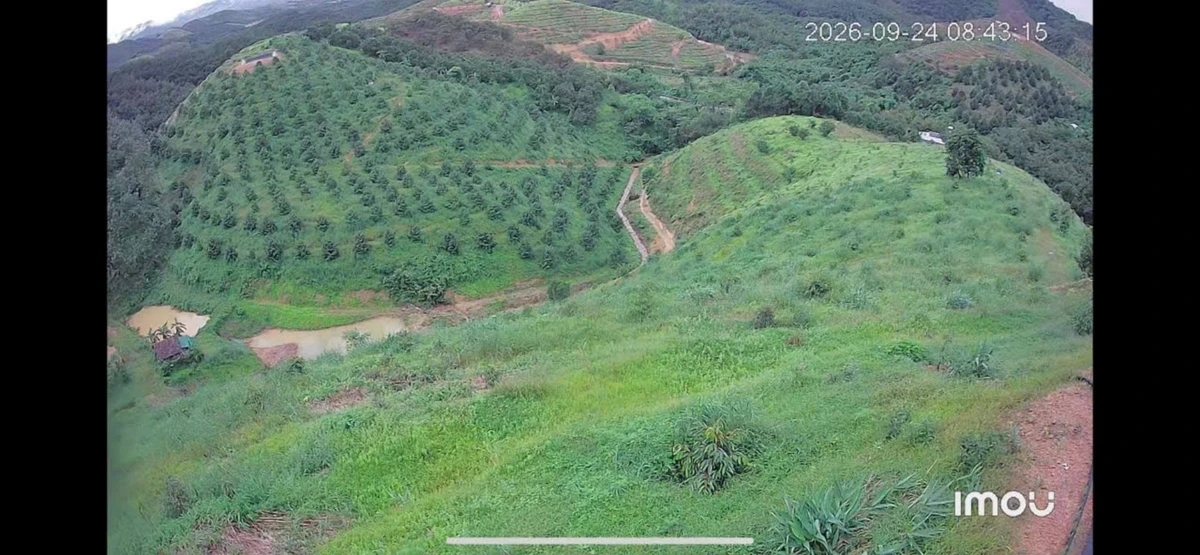 Bán 5,5 ha đất sầu riêng Mỹ Đức 4 tỷ - Ảnh thu nhỏ 3