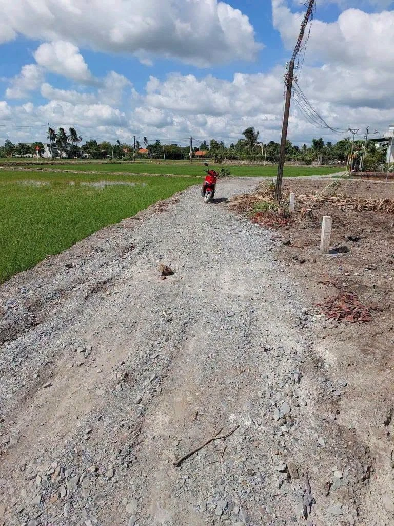 Bán lô đất tổ 5×25m (125m²) Mỹ Lệ, Cần Đước, Long An 600 triệu - Ảnh thu nhỏ 2