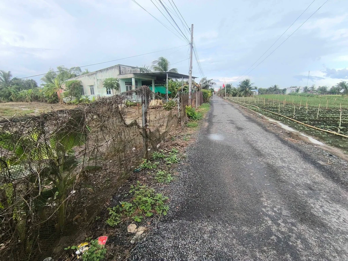 Bán đất mặt đường 750m² Gò Công Đông Tiền Giang 900 triệu - Ảnh thu nhỏ 2