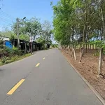 Bán lô đất thổ cư đường nhựa 6m gần khu dân cư 3/2 An Điền, Phường Long Nguyên giá 1,48 tỷ - Ảnh thu nhỏ 2
