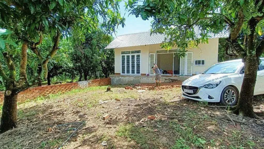 Bán nhà vườn 1.000m² mặt tiền 24m có vườn xoài tại xã La Ngà, Định Quán, Đồng Nai - Ảnh thu nhỏ 3