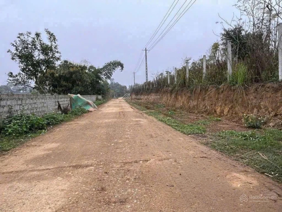 Lô đất rẻ tại Thanh Thủy, đường rộng 6m, vị trí đẹp: Gần trường, chợ, tỉnh lộ, nhà máy, Vườn Vua - Ảnh thu nhỏ 3