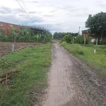 Bán lô đất 290m² ở Xã Long Chữ, Tây Ninh - Ảnh thu nhỏ 4