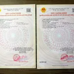 Bán nền đất 400m² Thạnh Lộc Châu Thành, 950 triệu - Ảnh thu nhỏ 4