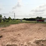 Chính chủ bán gấp 5600m2 đường Tỉnh 881 nhựa 10m, cách Phà Mỹ An 1km,giá 1tr160/m2 - Ảnh thu nhỏ 2