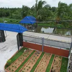 Bán nhà vườn view sông 746m² Bến Lức Tây Ninh - Ảnh thu nhỏ 4