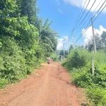 Bán đất đỏ bazan vườn cà phê 4,2 sào Tam Giác Vàng Đắk Lắk - Ảnh thu nhỏ 3