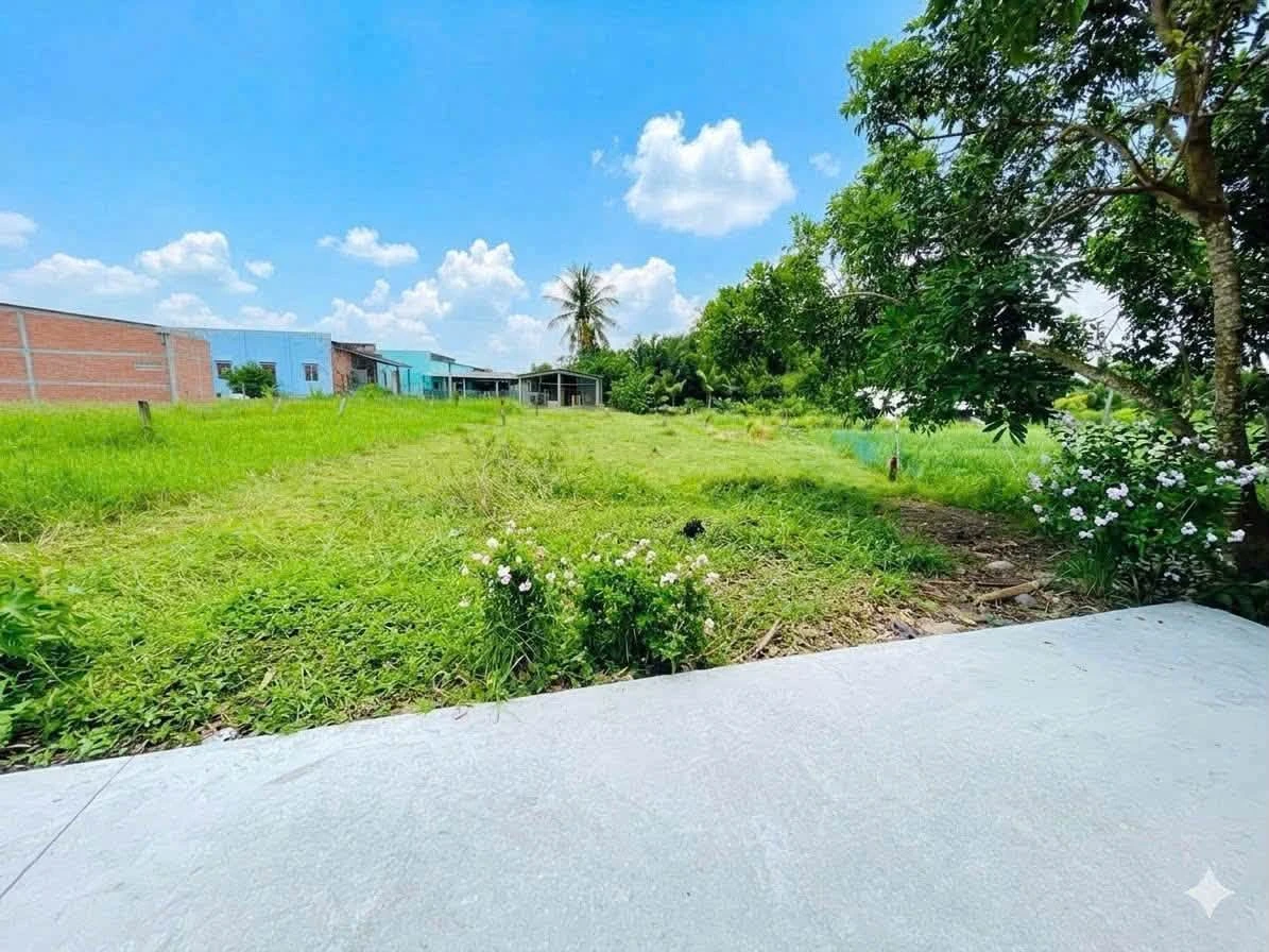 Bán đất 376m² (10x38) xã Bình Trinh Đông, Tân Trụ, Tây Ninh giá 500 triệu - Ảnh thu nhỏ 2